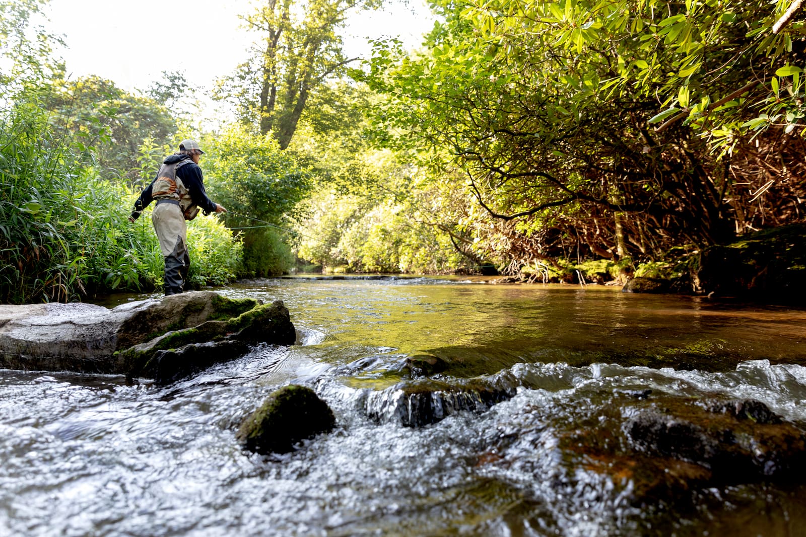 Fly Fishing Primland