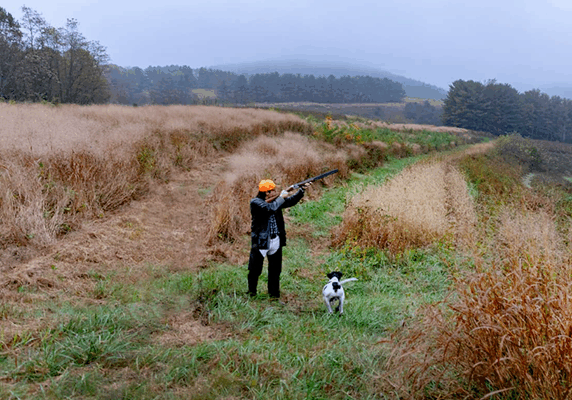 hunting