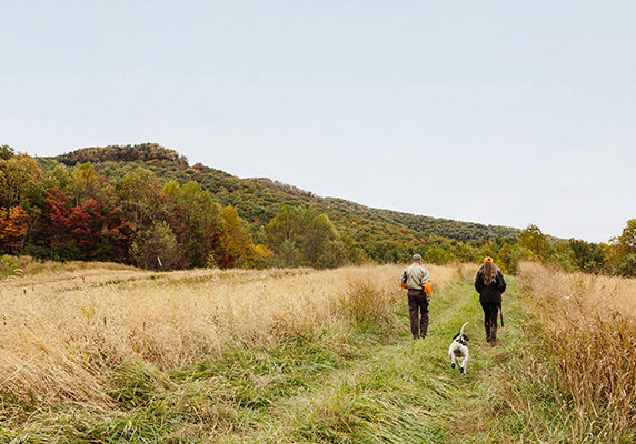 Hunting area